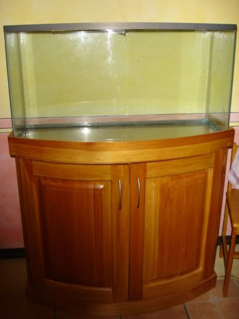 DSC03363.jpg