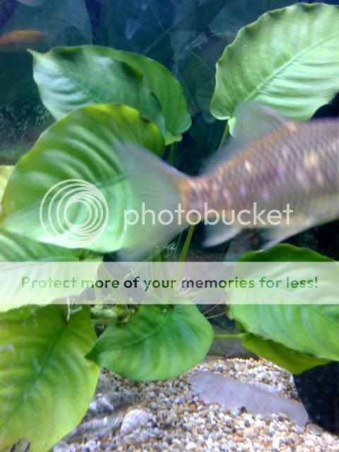 29-05-07_0012.jpg