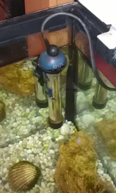 IMAG0316.jpg