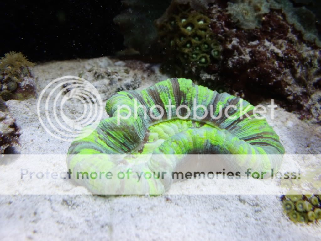 DSCF1044.jpg