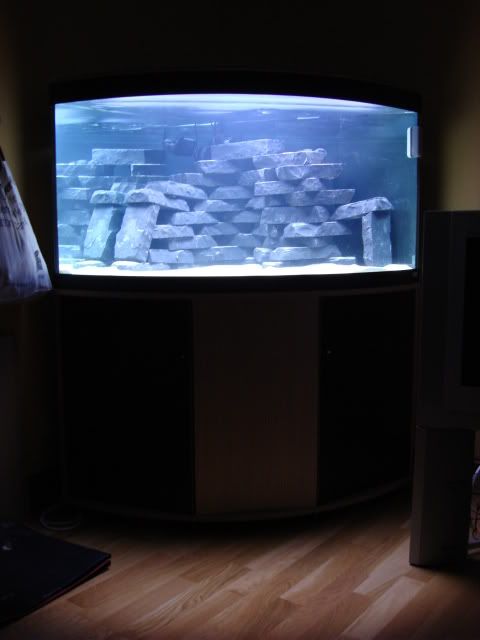 DSC02371.jpg