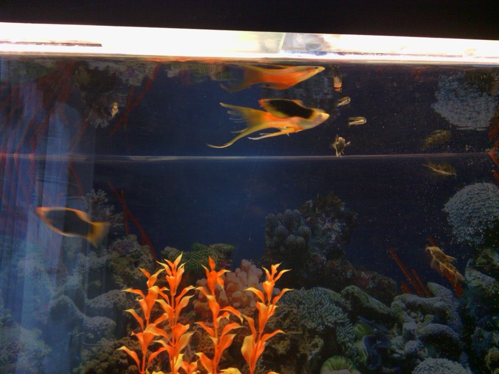 IMG_20120714_122952.jpg