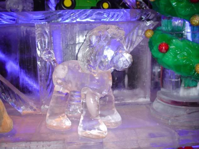0ice4.jpg