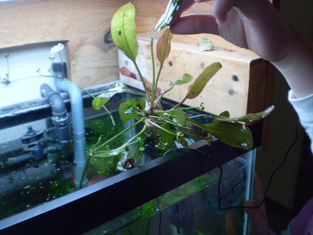 041.jpg