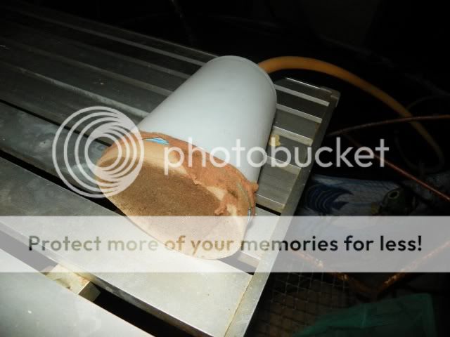 100_3093.jpg