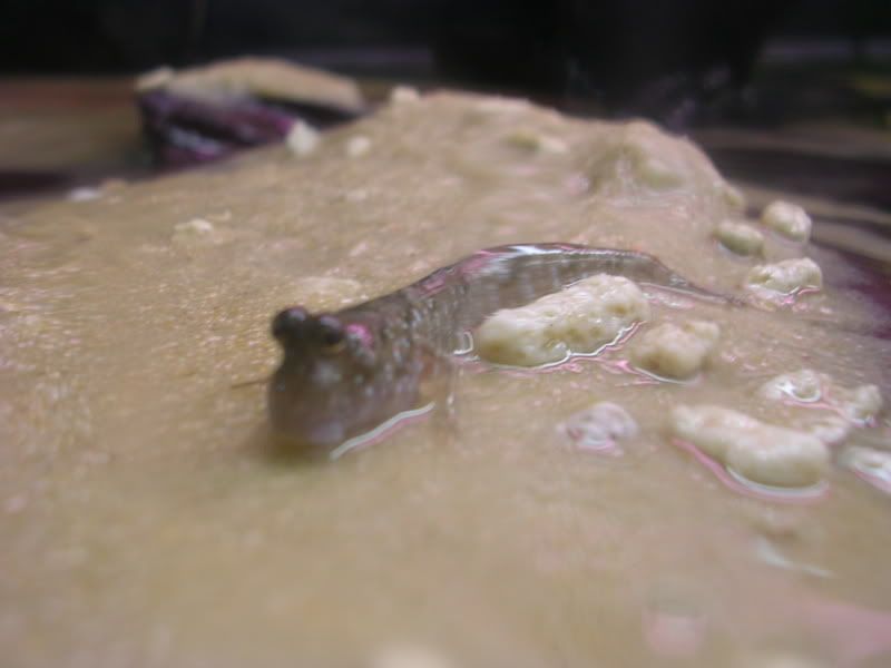 DSCN2989.jpg