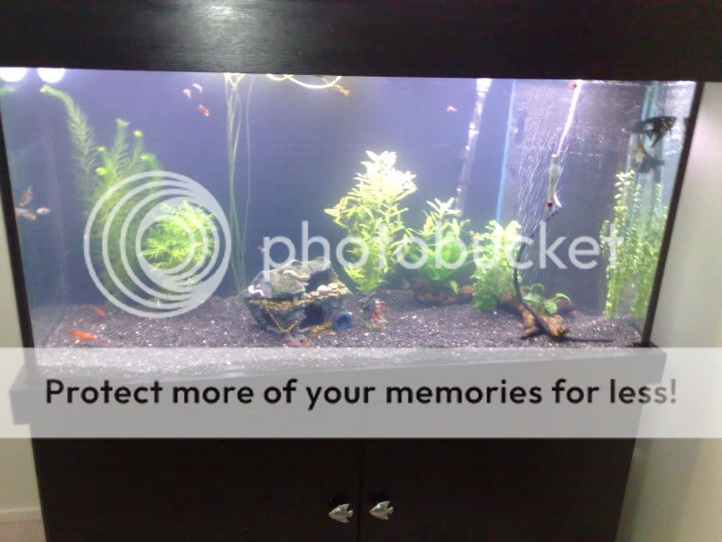 29082009929.jpg