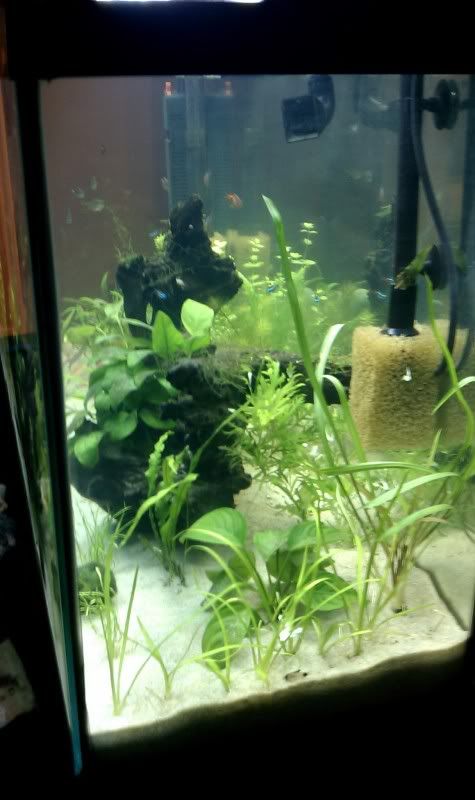 IMAG0453.jpg