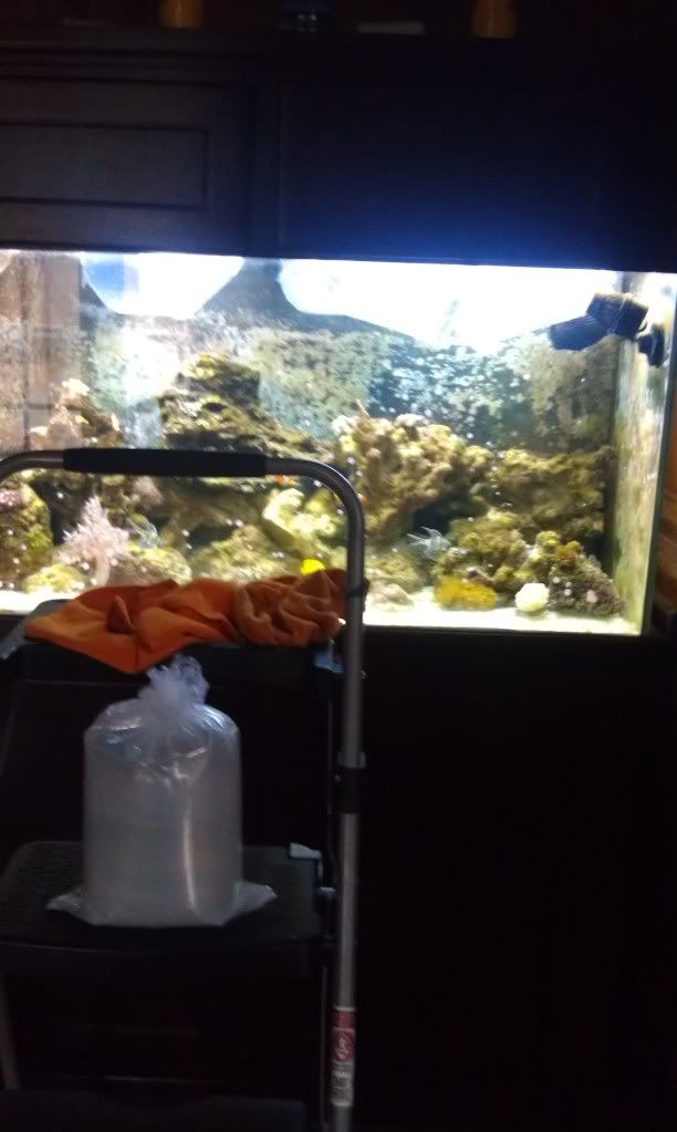 IMAG0615.jpg