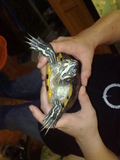 030920091259.jpg