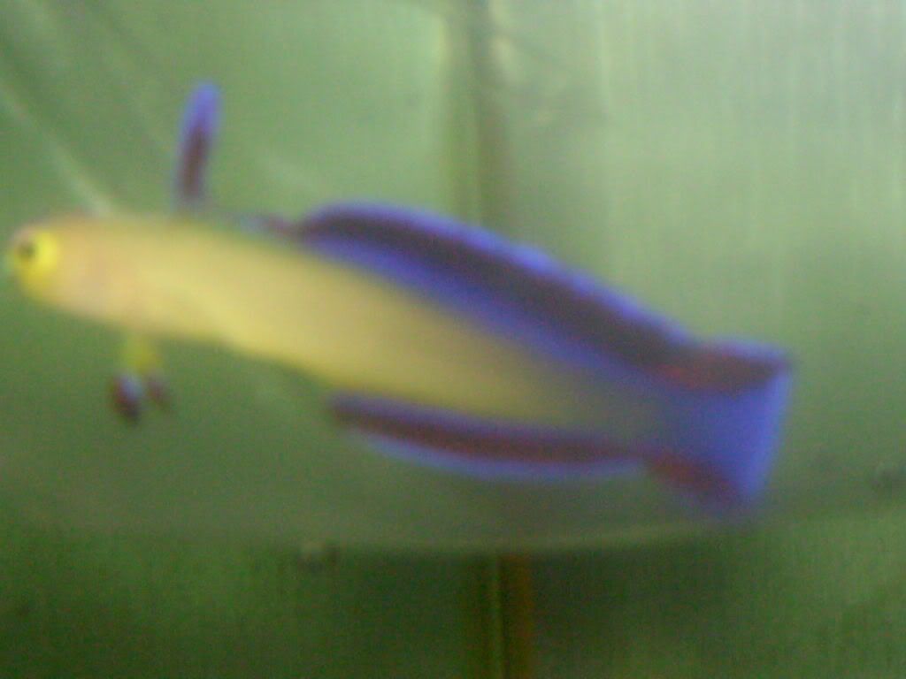 HPIM0344.jpg