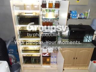SDC12769-1.jpg