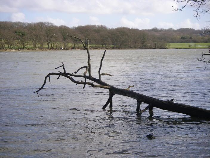 2april2006011.jpg