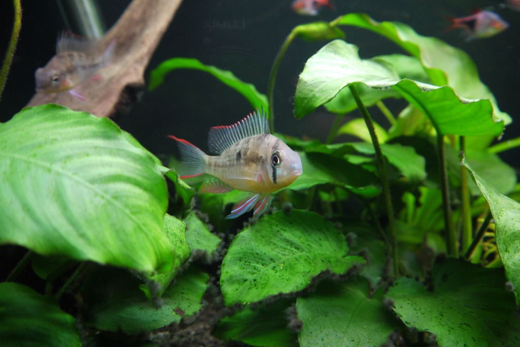 P1010432.jpg