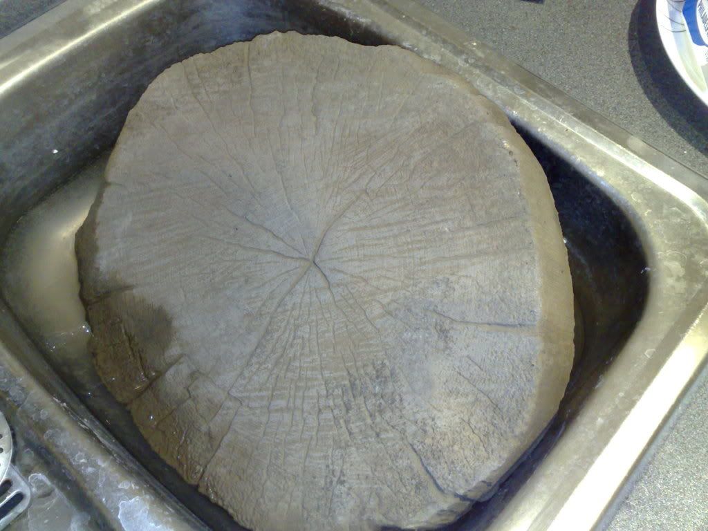 31012009433.jpg
