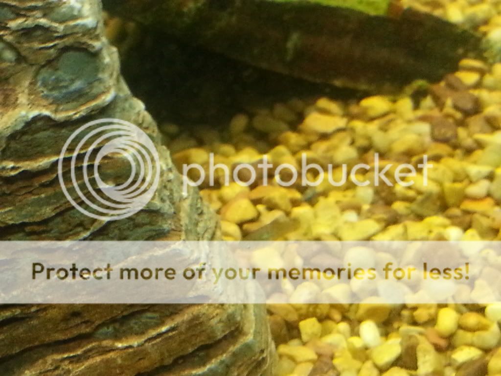 20121028_203105_zps54e9dd98.jpg