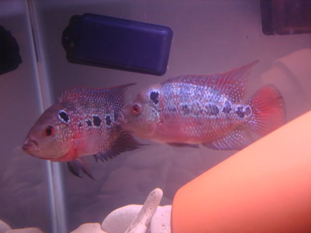 DSC01191.jpg