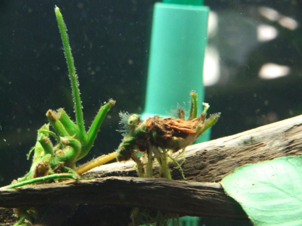 DSCF6546.jpg