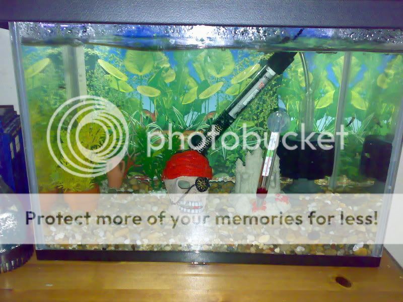 20092007674.jpg
