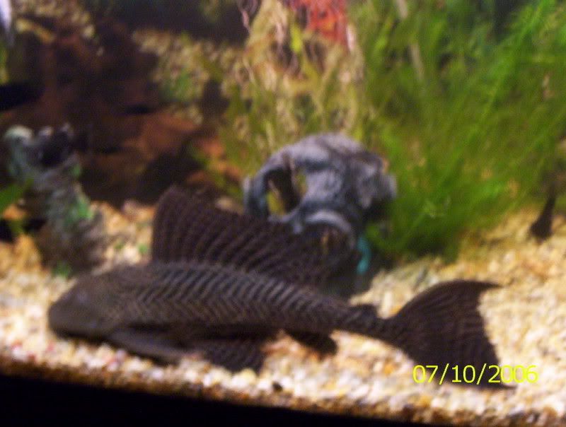 100_0304.jpg