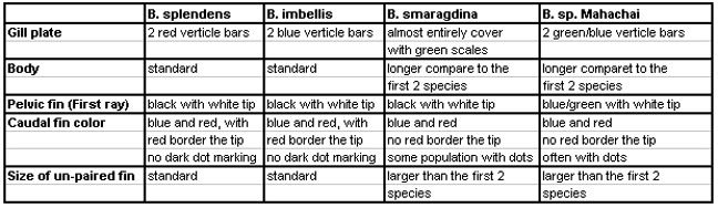 B_comparison_chart.jpg
