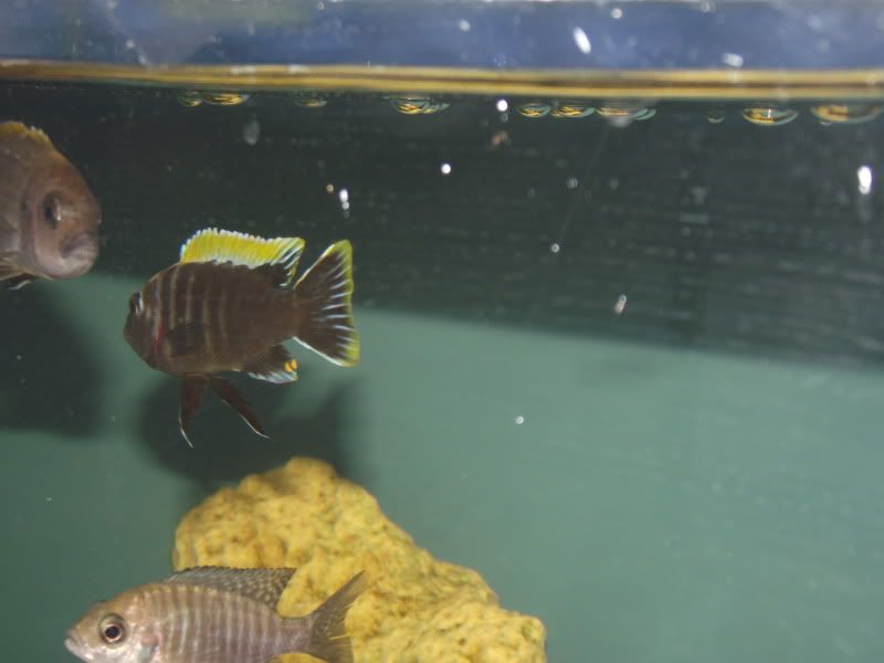 DSCF7199.jpg