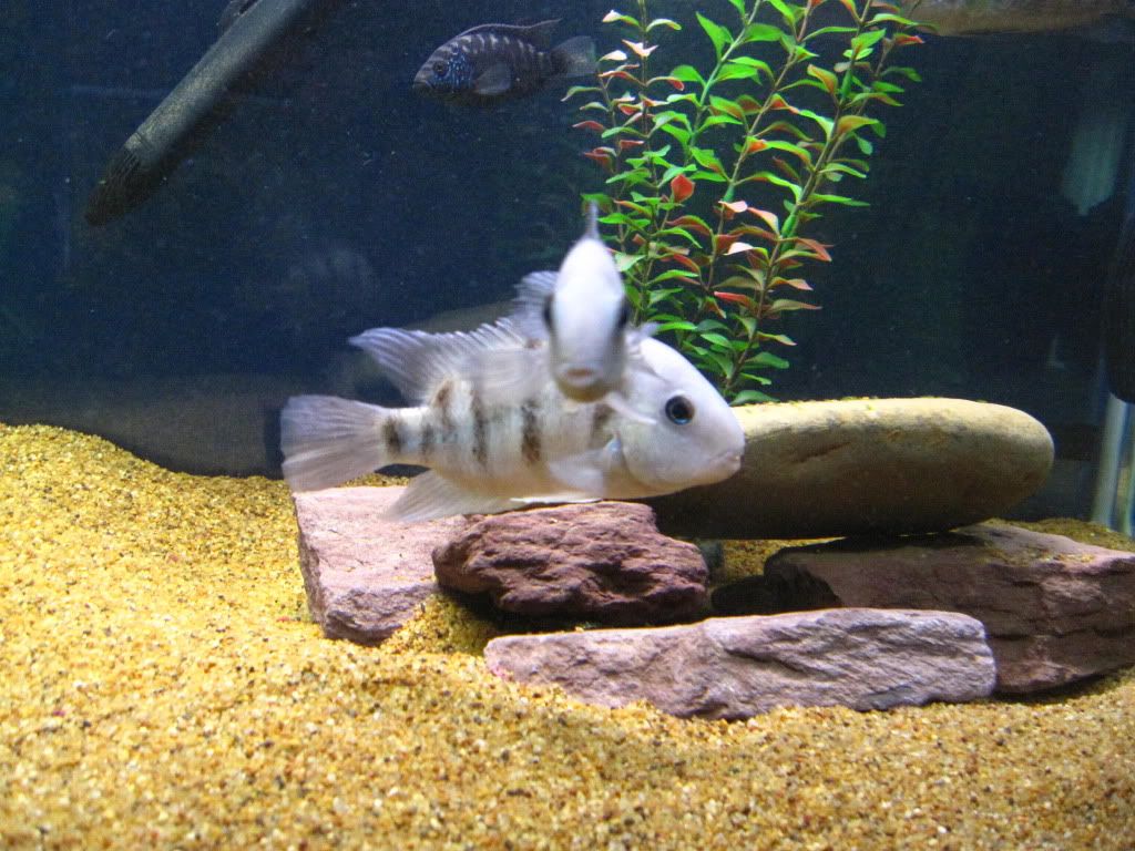 IMG_7266.jpg