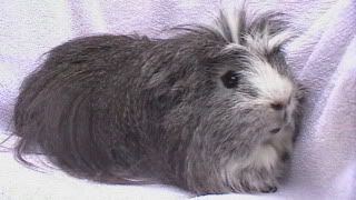otis005.jpg