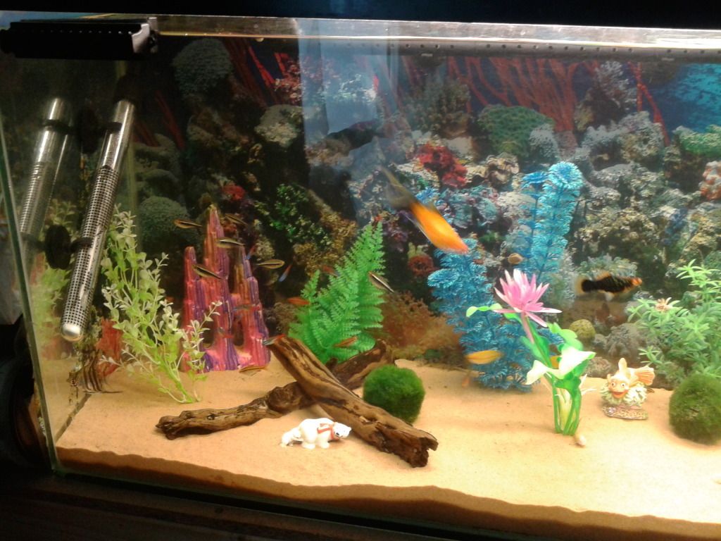 20121015_101046.jpg