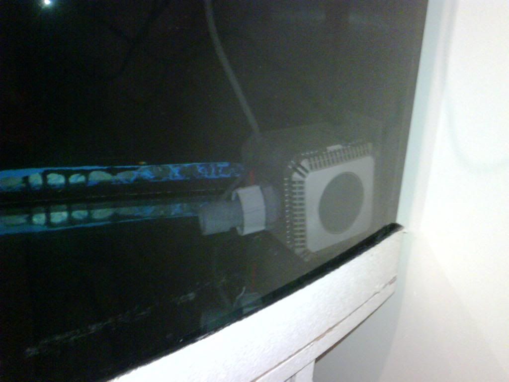 IMG00077-20090418-2205.jpg