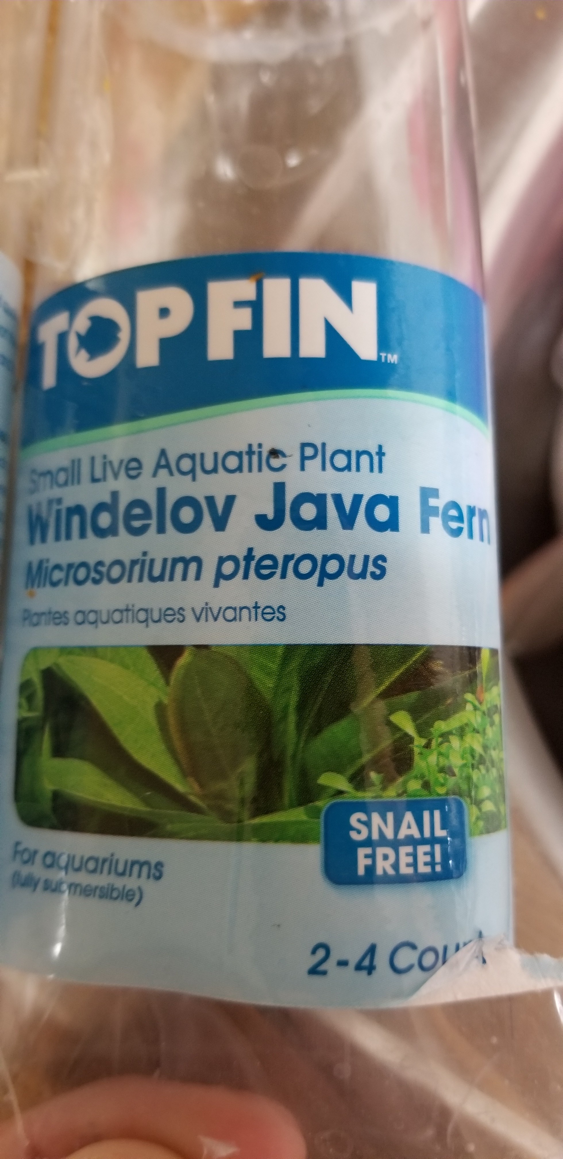 20180312_093452.jpg