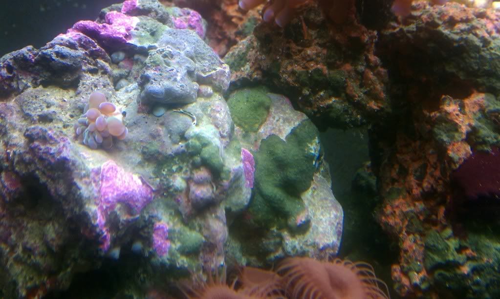 IMAG0203.jpg