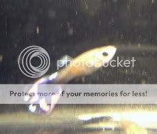 DSCF4900.jpg