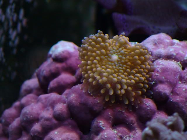 DSC00855.jpg