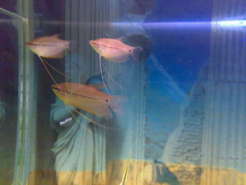 12082007589.jpg