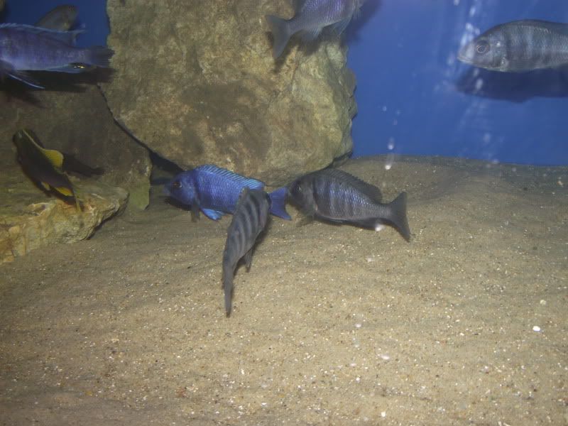 DSCF7857.jpg