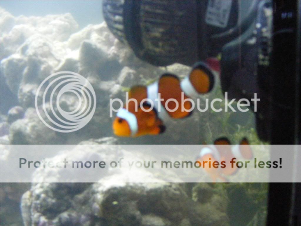 2010_05080003.jpg