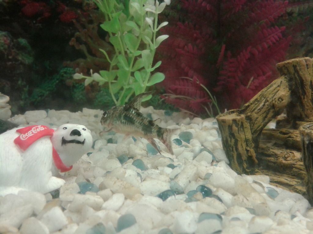 20120926_144431.jpg
