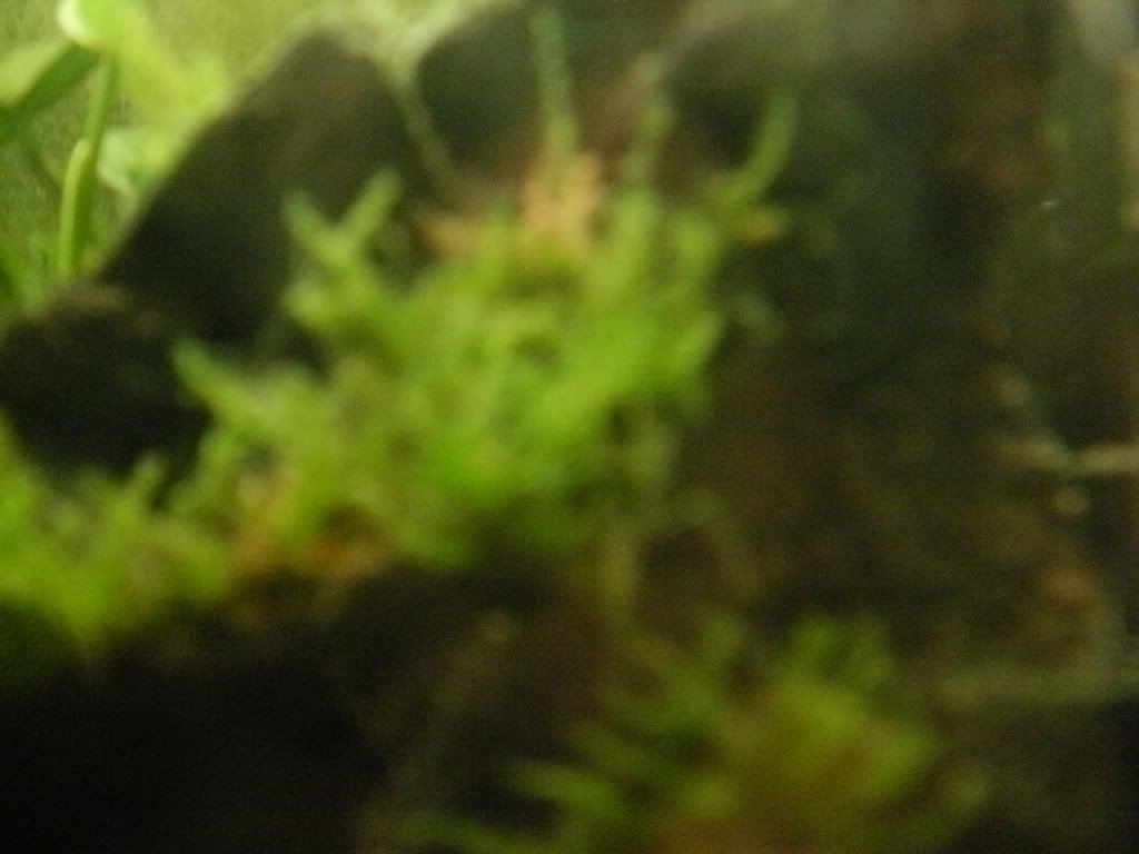 P1300061.jpg