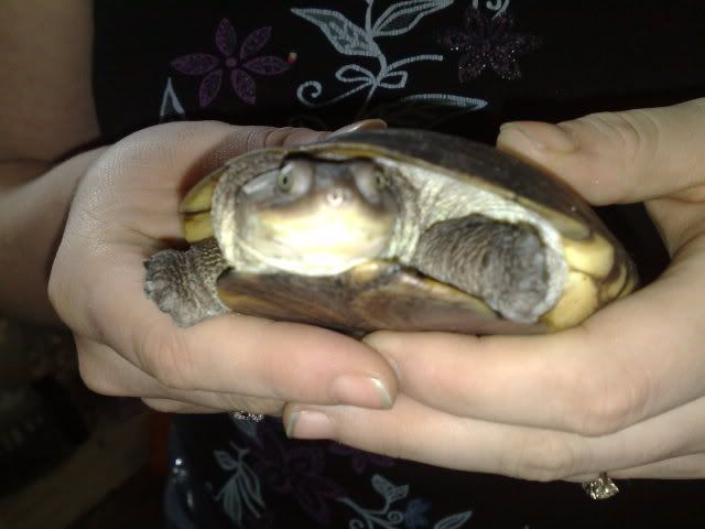 220220102260.jpg