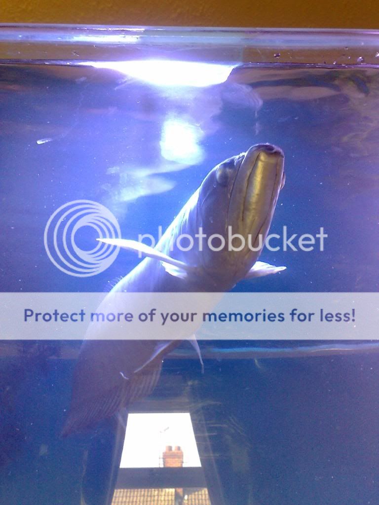 20042009181.jpg