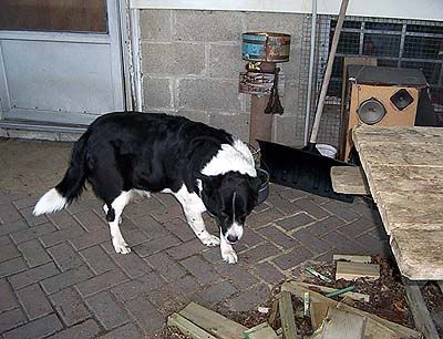 000_45451.jpg