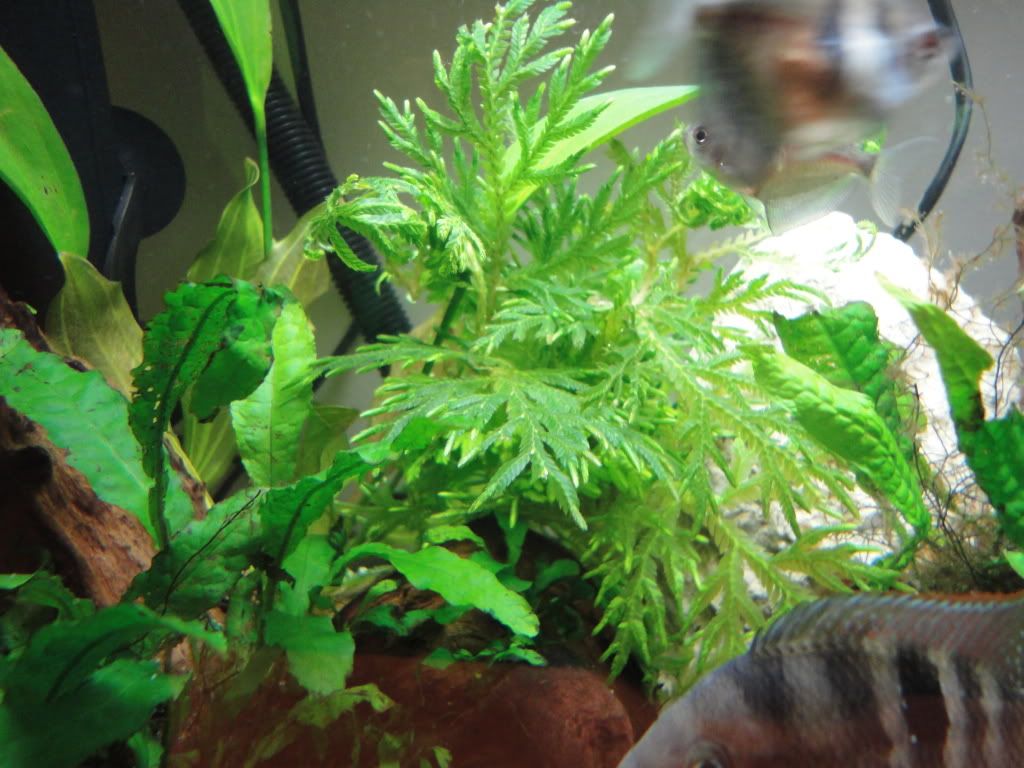 DSC00410.jpg