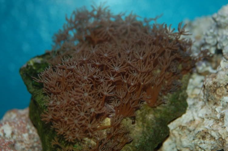 aquarium006.jpg