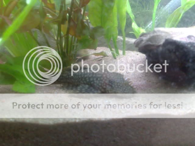 10042008079.jpg