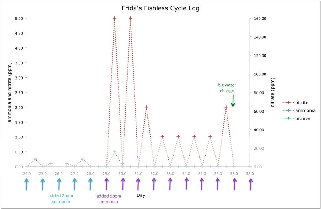 3graph.jpg
