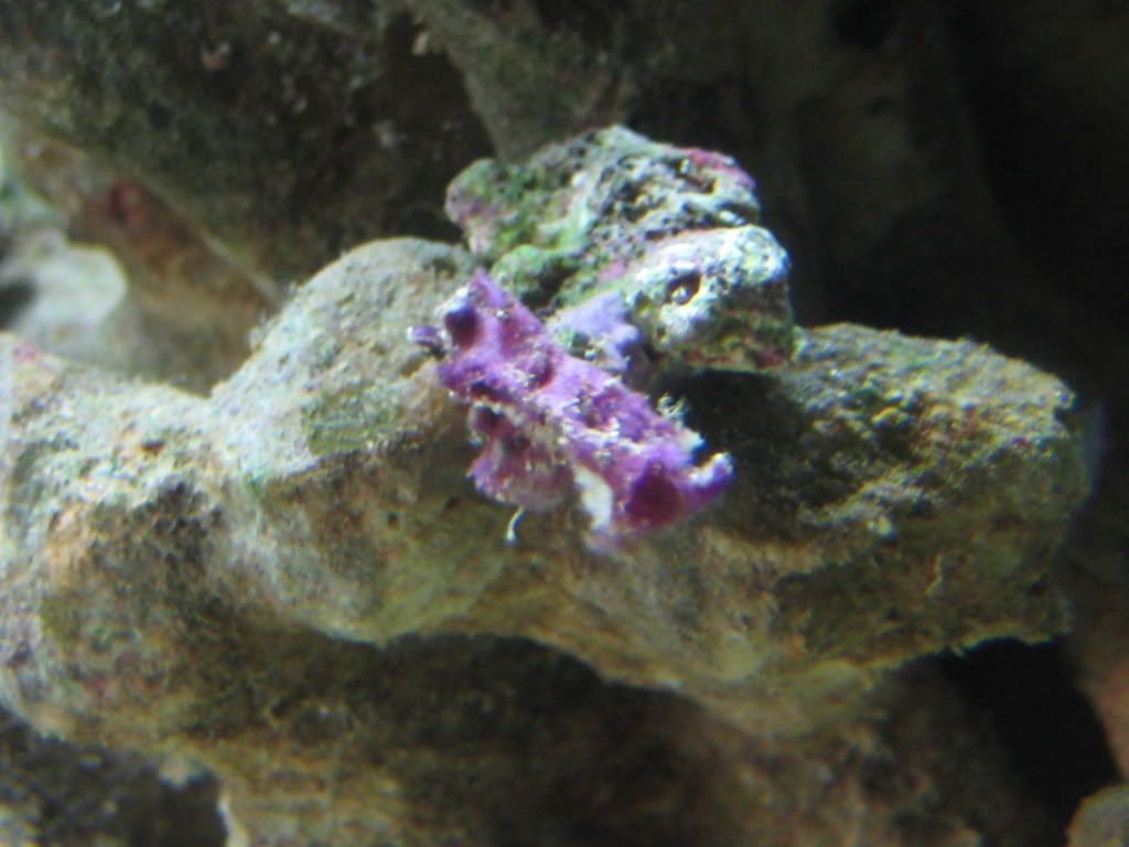 IMG_0657.jpg