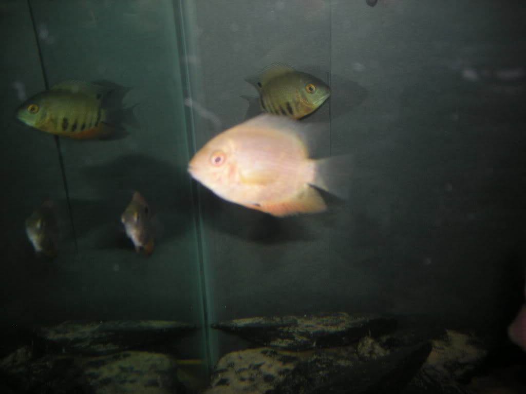 DSCN0557.jpg