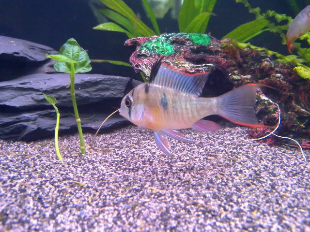 080620111135.jpg