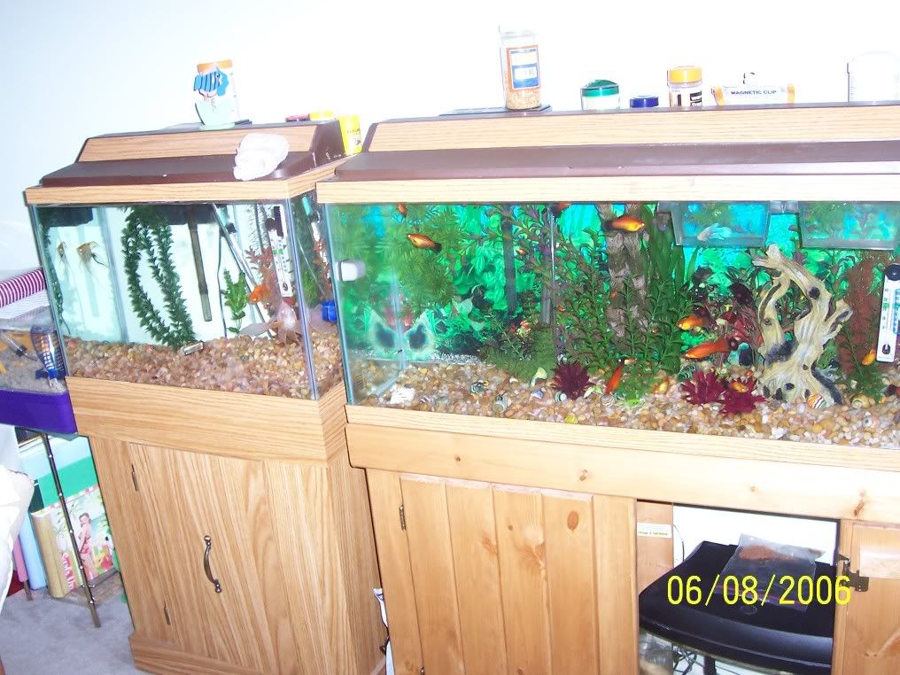 100_5511.jpg